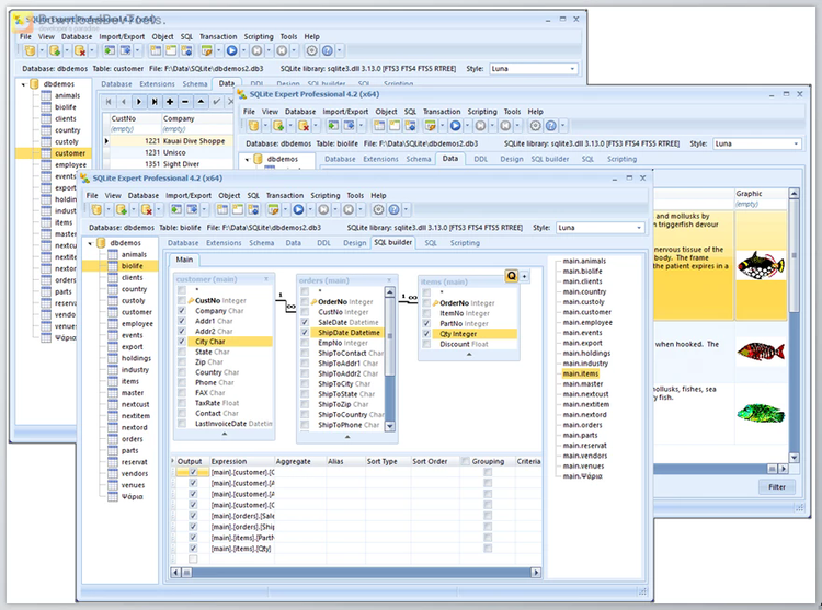 SQLite Expert Professional v5.5.29.640 (x86 & x64) + Portable Edition + License Key