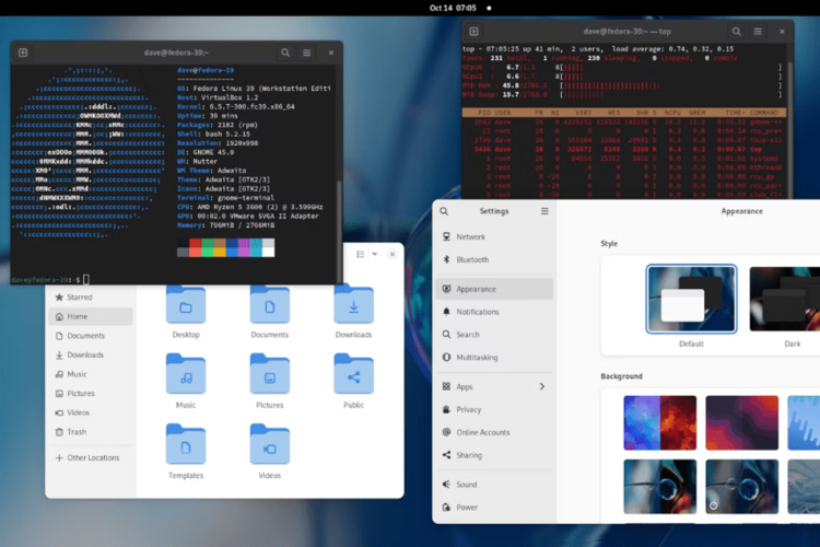 Fedora Workstation v40