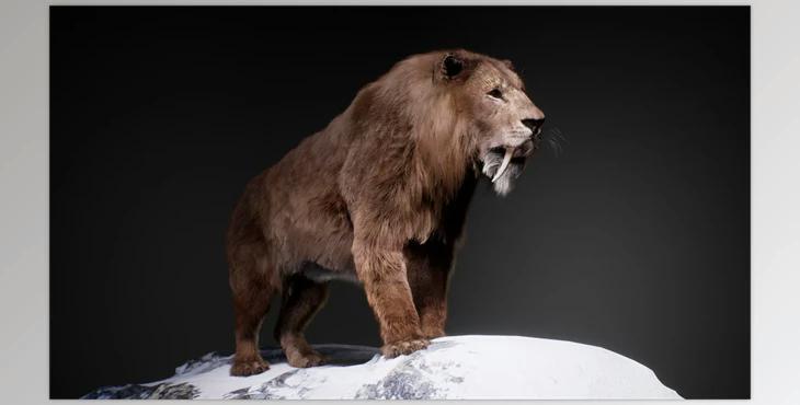 Unreal engine - The Sabertooth v5.1