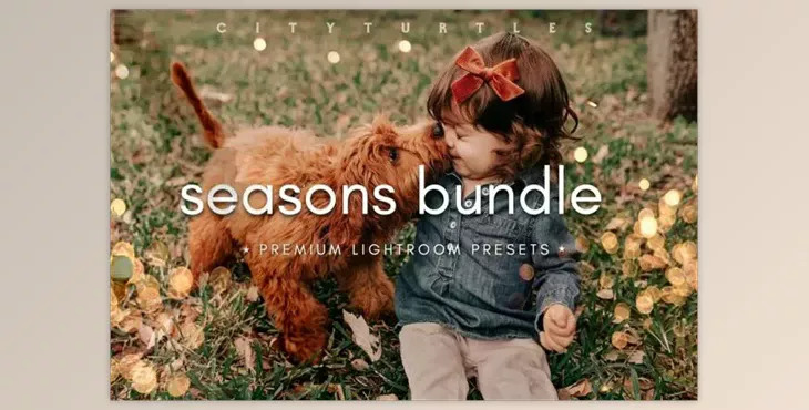 THE SEASONS BUNDLE Lightroom Presets 6565571