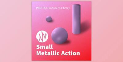 PSE The Producer’s Library Small Metallic Action WAV