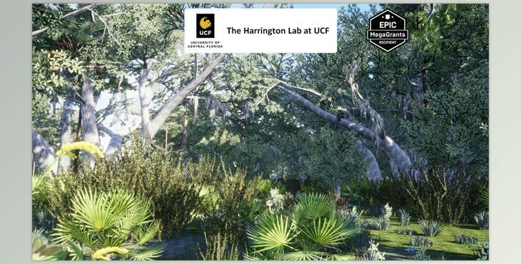 Unreal engine - Xeric Hammock Habitat Brush v5.3