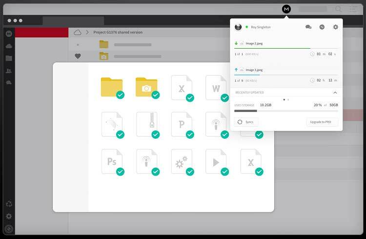 MEGAsync 5.9.0.3