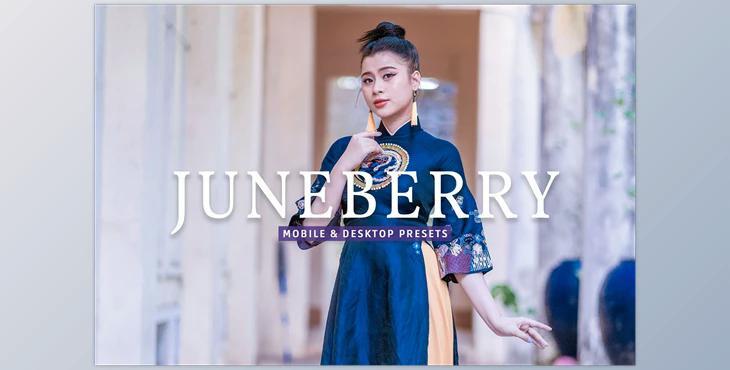 Juneberry Pro Lightroom Presets CreativeMarket - 7473583