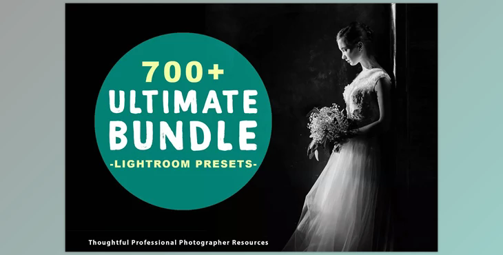 700+ Lightroom Presets Bundle 3061618