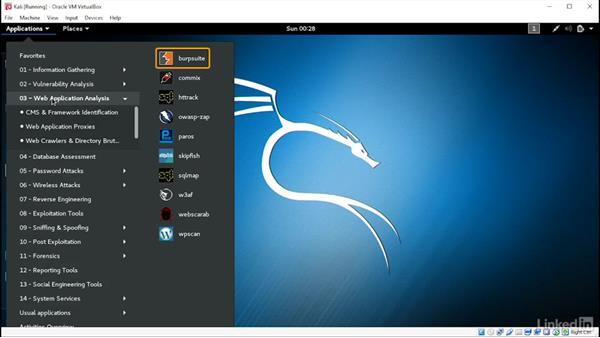 Kali Linux 2025.1a