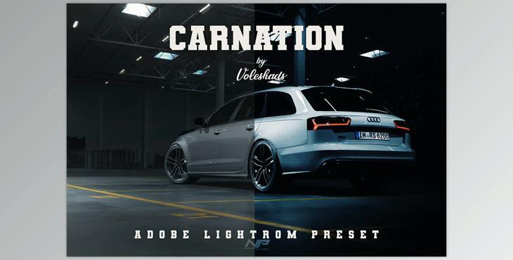 Carnation Adobe Lightroom Preset CreativeMarket-5992399 (LRTEMPLATE, DNG, XMP)