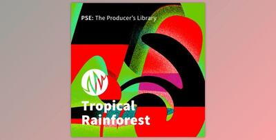 PSE The Producer’s Library Tropical Rainforest WAV