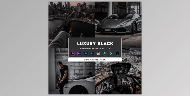 TheLutBay – Luxury Black Preset