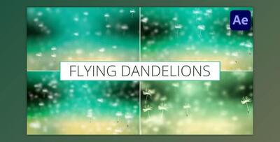 Flying Dandelions for After Effects (Videohive 52411210) - AE Project