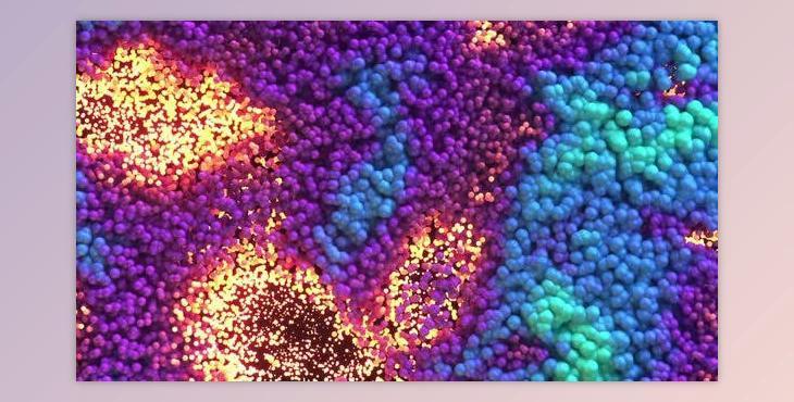 Colorful Waving Spheres Apple ProRes 422 (Videohive 26210462)