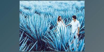 LooK Filter – I DO Presets