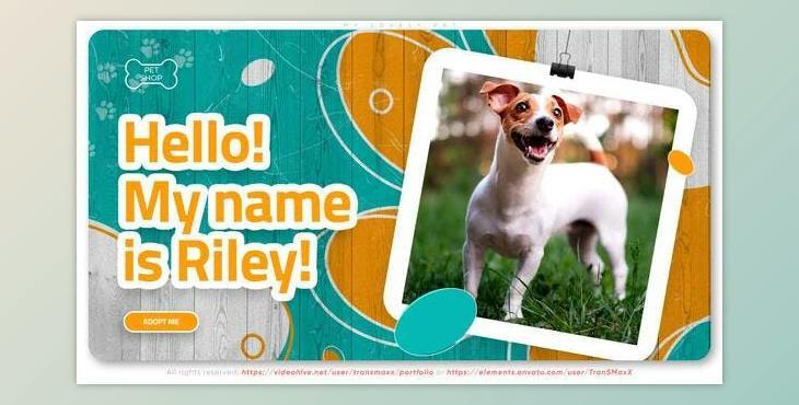 My Lovely Pet (Videohive 37910354) - AE Project