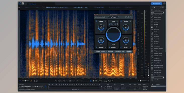 iZotope RX 11 Audio Editor Advanced v11.1.0 (Win)