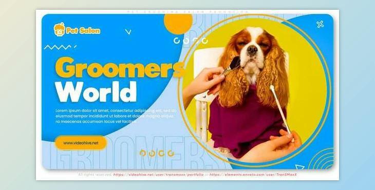 Pet Grooming Salon Promotion (Videohive 30723694) - AE Project