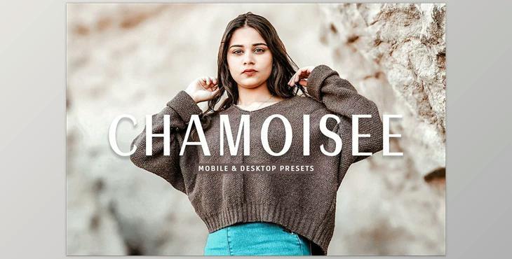 Chamoisee Pro Lightroom Presets CreativeMarket - 7375237