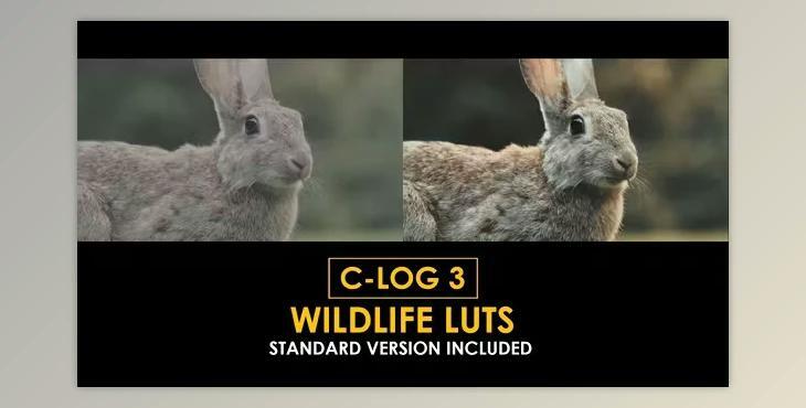 C-Log3 Wildlife and Standard Color LUTs (Videohive 50930916)