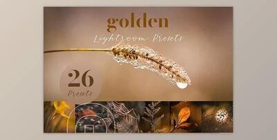 Golden Lightroom Presets CreativeMarket-5805936 (XMP)