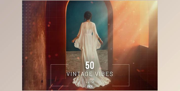 50 Vintage Vibes LUTs Pack - 281823306