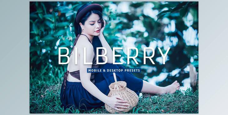 Bilberry Pro Lightroom Presets CreativeMarket - 7469776