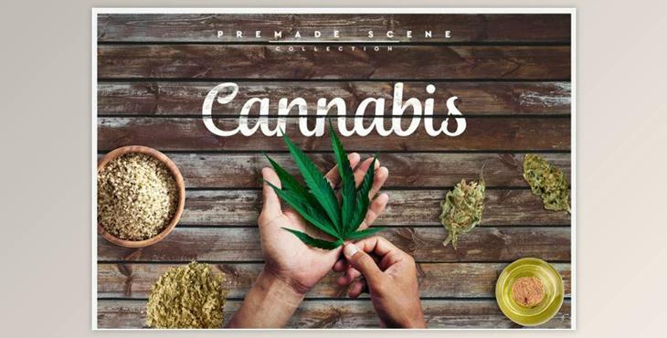 Cannabis Scene Creator #01