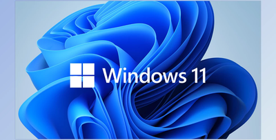 Microsoft Windows 11 All Editions v24H2 November 2024 + Activators