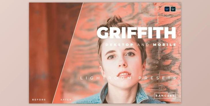 Griffith Desktop and Mobile Lightroom Preset by Bangset