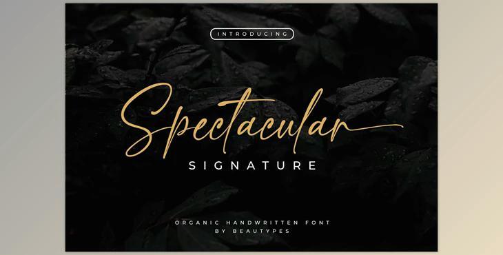 Spectacular Signature Font CreativeMarket 6720236