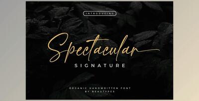 Spectacular Signature Font CreativeMarket 6720236