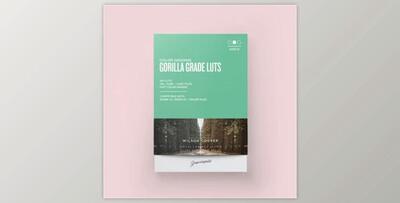 Gorilla Grade LUTs 2020