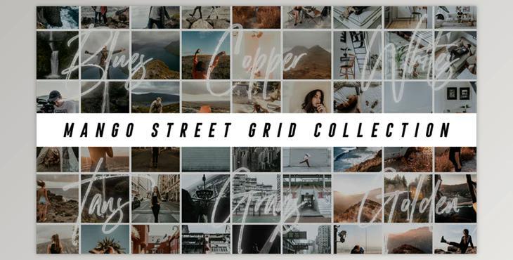 The Grid Collection - Mango Street Presets