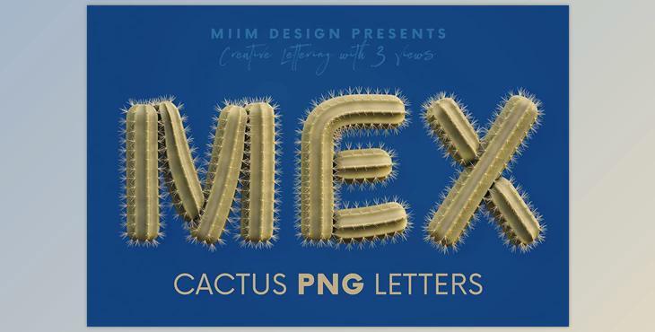 Cactus 3D Lettering