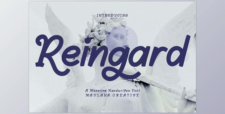 Reingard Display Font CreativeMarket 6985469