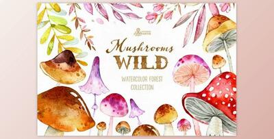 Wild Mushrooms. Forest Collection By OctopusArtis