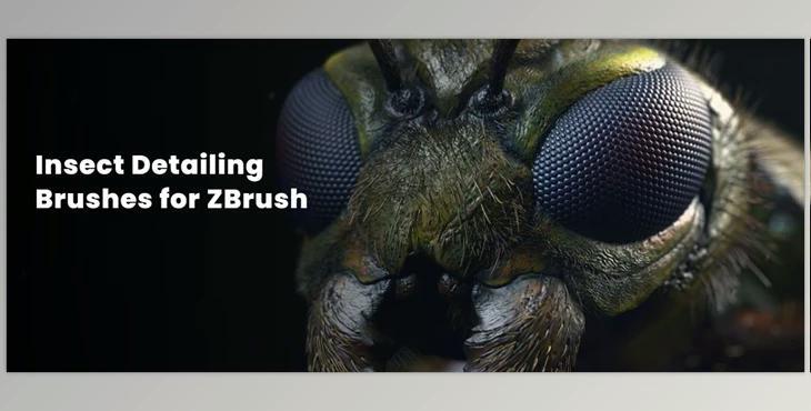 Zbrushguides - Insect Detailing Brushes for ZBrush