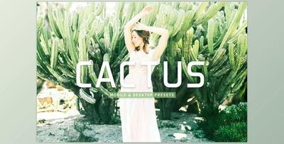 Cactus Pro Lightroom Presets CreativeMarket - 6923110