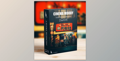 Street Cinematic Dark Moody Lightroom Presets