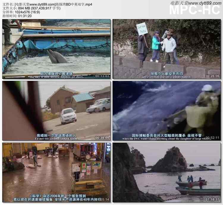 电影天堂-经典电影TOP72《海豚湾》BD中英双字