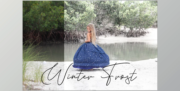 Sweet Soul Studio – Winter Frost Action