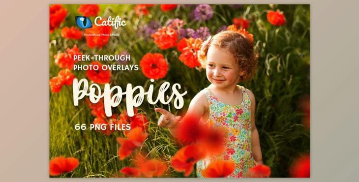17 Poppie Flowers Photo Overlays CreativeMarket 3019394