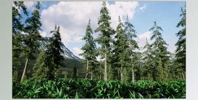 Unreal Engine - Spruce forest winter and summer (Engine version 4.26- 4.27, 5.0)