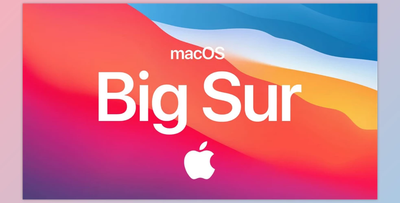 Apple macOS Big Sur v11.6.1 (20G224) Multilingual + VMWare Edition