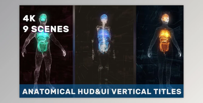 Anatomical Vertical HUD UI Titles (Videohive 36051112) - AE Project