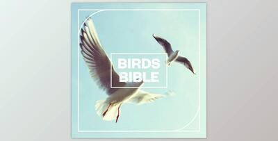 Blastwave FX Birds Bible