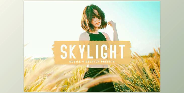 Skylight Pro Lightroom Presets CreativeMarket - 6834951