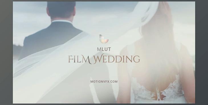 mLUT Film Wedding for Video Editor