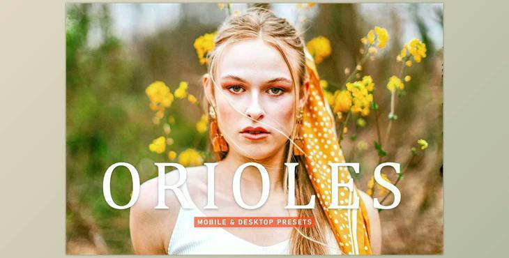 Orioles Pro Lightroom Presets CreativeMarket - 6924892