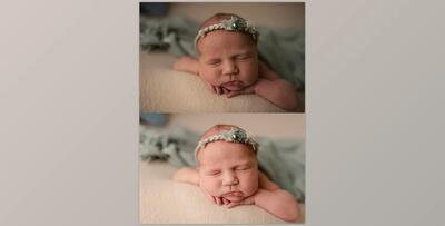 Appleseed Studio Preset Collection