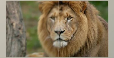 Aiarty Video Enhancer: Upscale and Repair Videos (v3.6 for Win, Mac)