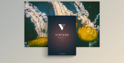 Mextures Overlays – Vintage (Photoshop, Affinity Photo)